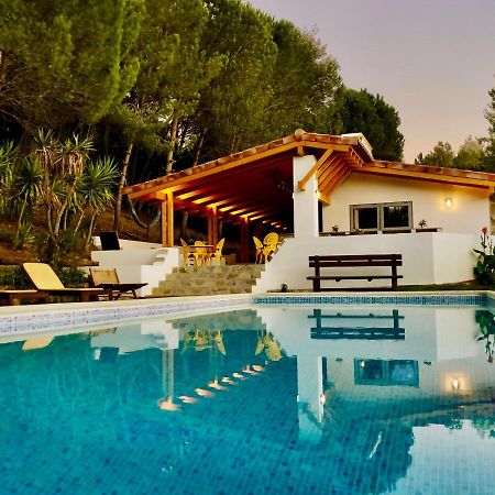 Quinta Camarena Guest House Cercal do Alentejo Екстериор снимка