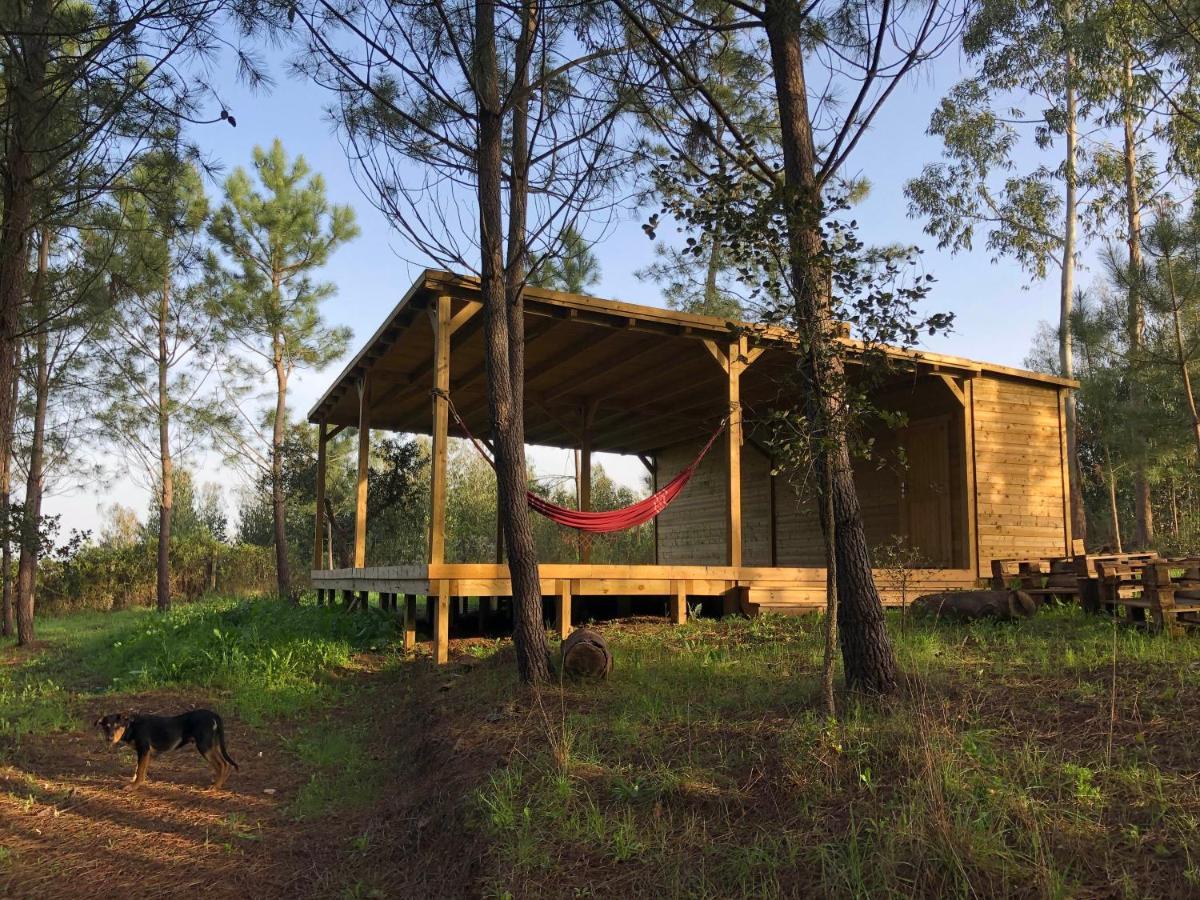 Quinta Camarena Guest House Cercal do Alentejo Екстериор снимка
