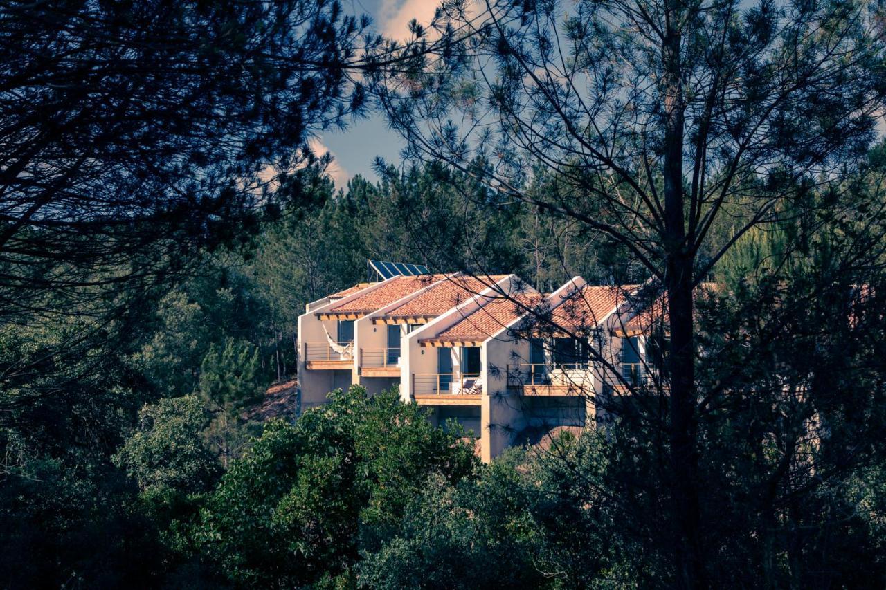 Quinta Camarena Guest House Cercal do Alentejo Екстериор снимка
