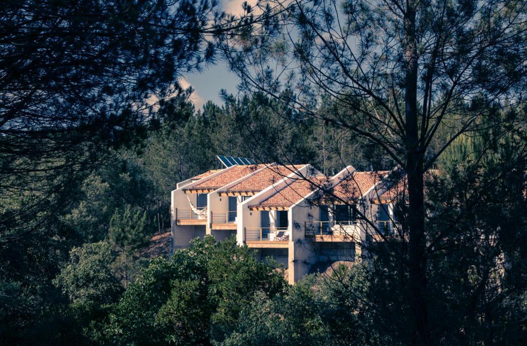 Quinta Camarena Guest House Cercal do Alentejo Екстериор снимка