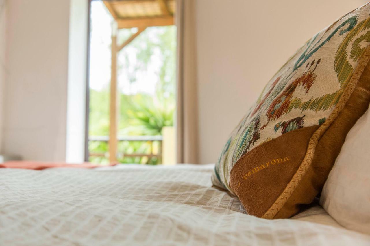 Quinta Camarena Guest House Cercal do Alentejo Екстериор снимка