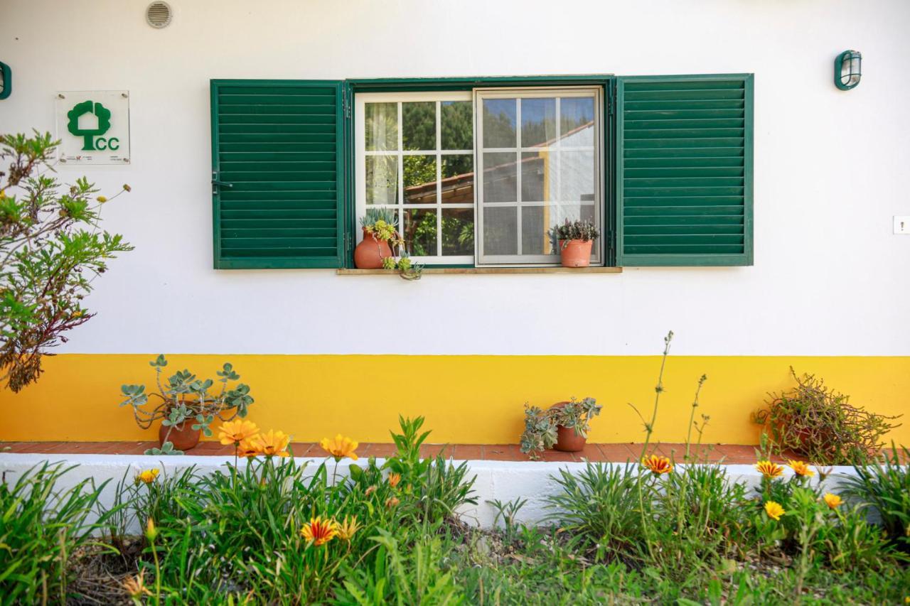 Quinta Camarena Guest House Cercal do Alentejo Екстериор снимка