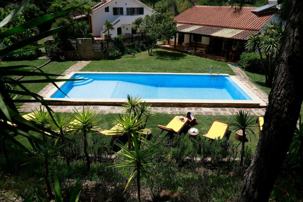 Quinta Camarena Guest House Cercal do Alentejo Екстериор снимка